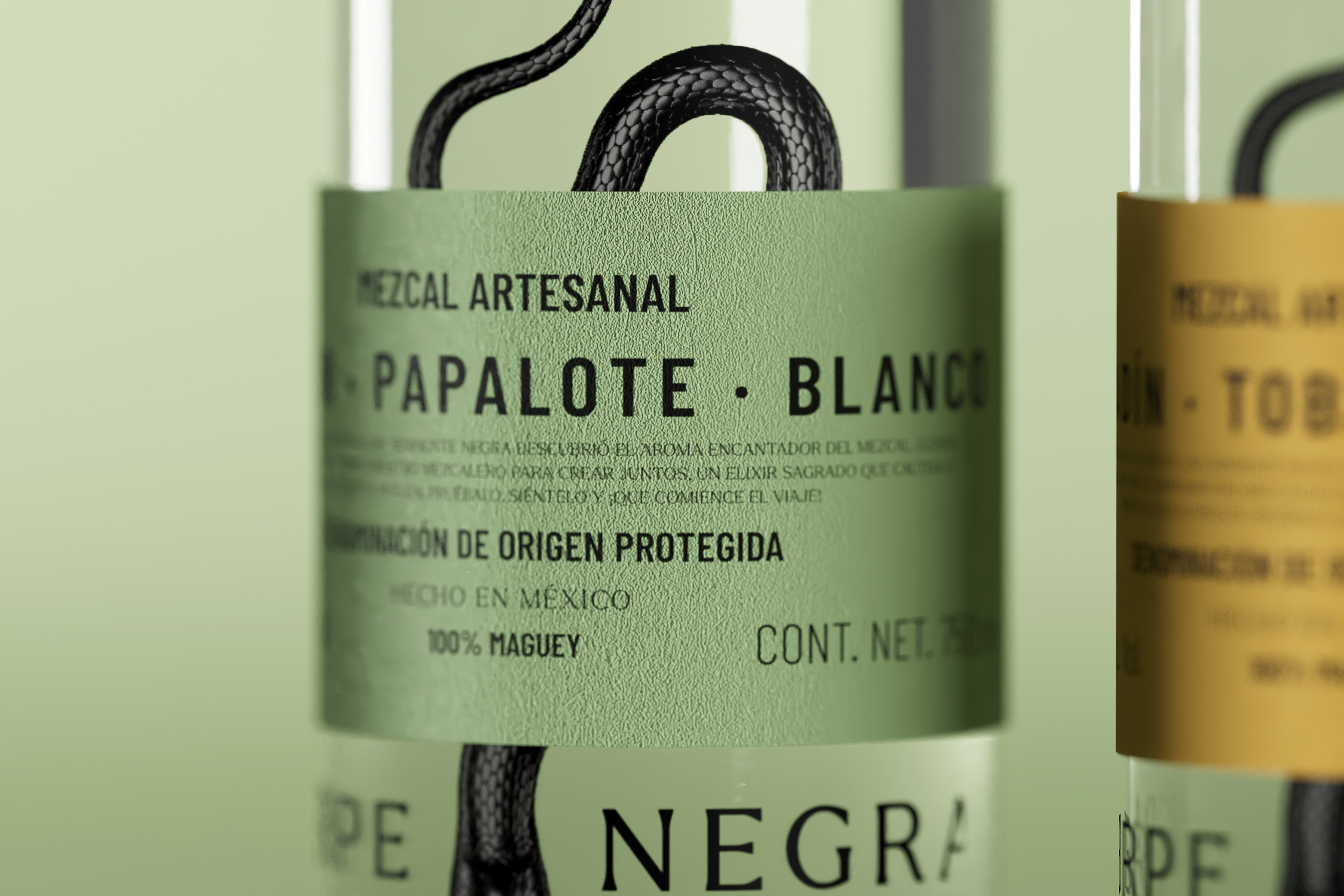 Renders Sierpe